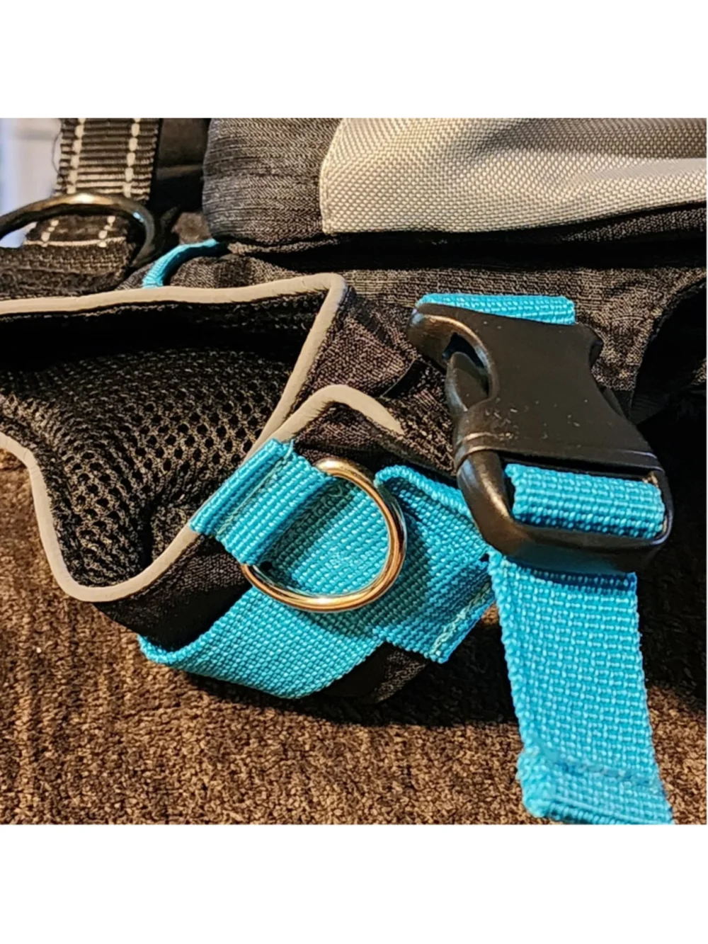 ZippyPaws Adventure Backpack for Dogs Small Size Grey Blue